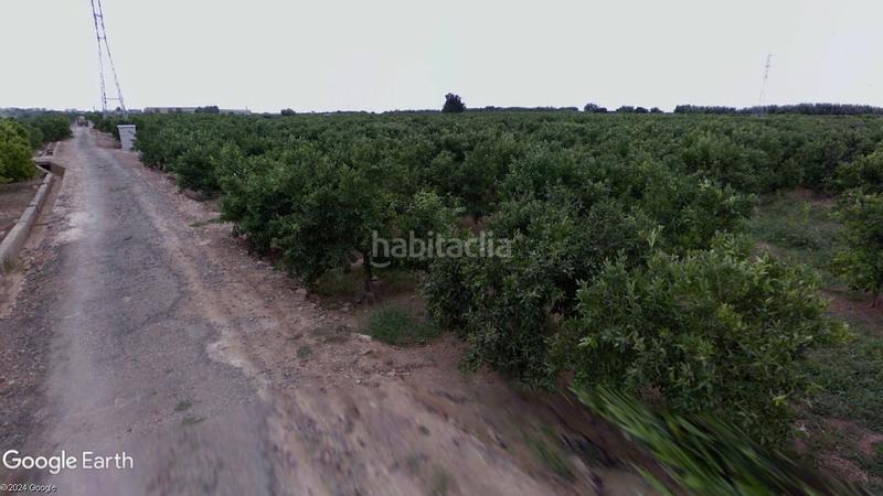 Foto e7506724-16c3-4dd9-b8b0-30b0e789af7e. Finca rústica a Nules