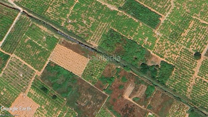 Foto f85104b1-8da1-4eab-9892-87bc7fda563a. Finca rústica a Nules