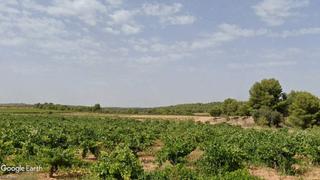 Propriété à N/a. Viñedo opcion vivienda de campo