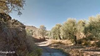 Finca rústica a Ugíjar. Olivar de regadío para recreo