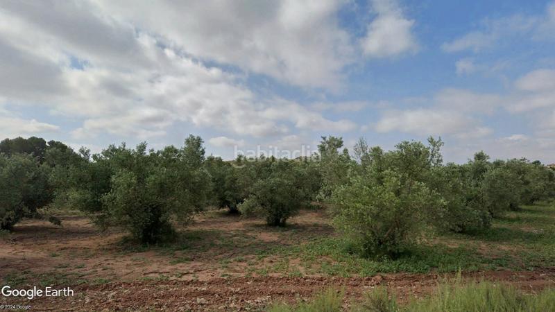 Foto afb3c3c4-9a00-41fc-b0d7-edbd649be02a. Finca rústica a partida los cabezos 61 a Las Virtudes Villena