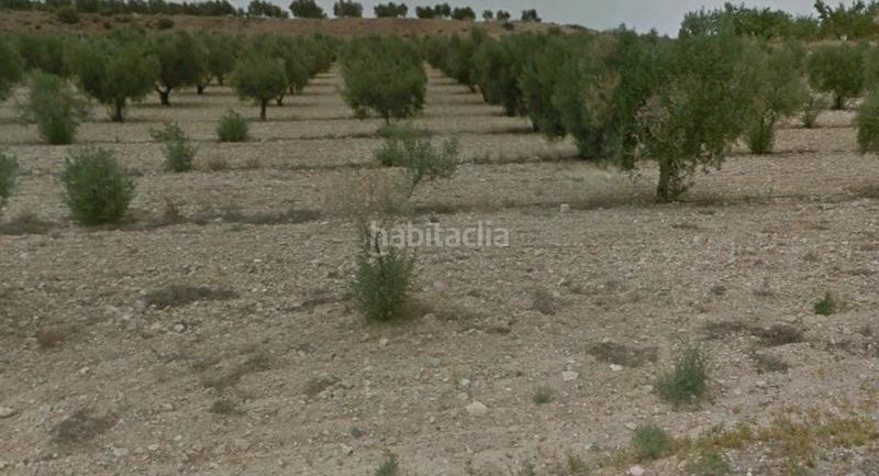Foto b6f34466-afa1-4900-a493-551a255dd401. Finca rústica a partida los cabezos 61 a Las Virtudes Villena
