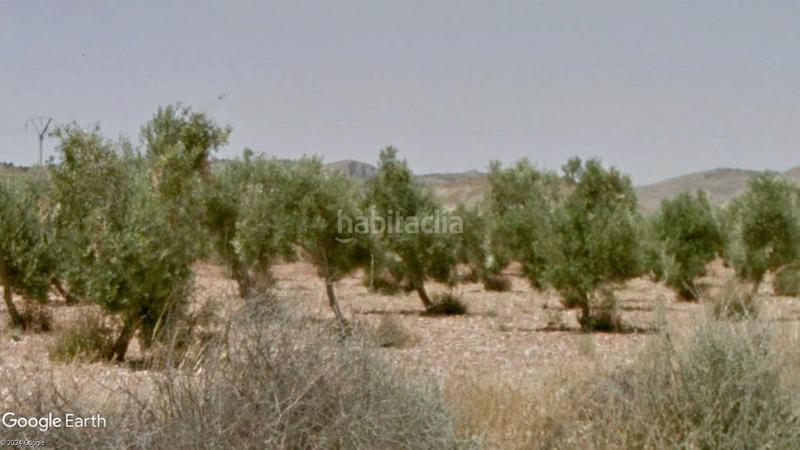 Foto e0b360f8-7f83-45d9-a616-8b3624649e44. Finca rústica a partida los cabezos 61 a Las Virtudes Villena