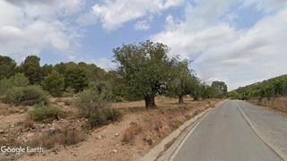 Finca rústica a Riba - roja de Túria. Parcela con algarrobos para recreo