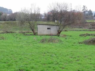 Finca rústica a Mungia. Para explotación agraria con vivienda