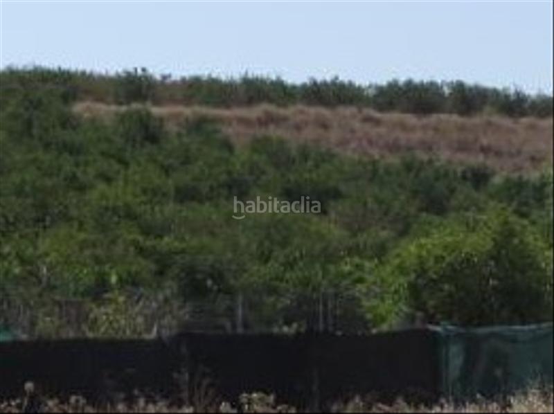 Foto 5509a38d-5671-4b93-8a25-19fa99f4f31a. Fondo rustico in madronyal 140 in Monte Real Torrent