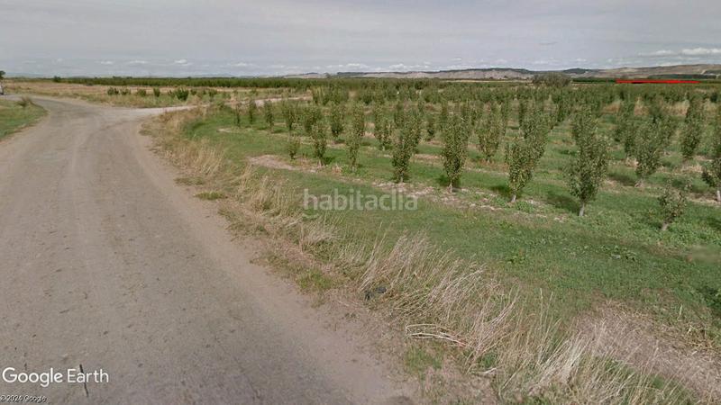 Foto 990cf05d-5bd1-4dc5-89bf-db9cf6f4b79b. Finca rústica a Calahorra