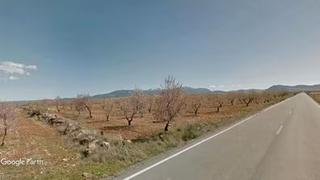 Propriété à Gor. Almendros en producción y en llano