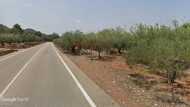 Foto 15bede00-4ff4-4f13-8357-d56e0ca9fa51. Propriété dans Albalat dels Tarongers