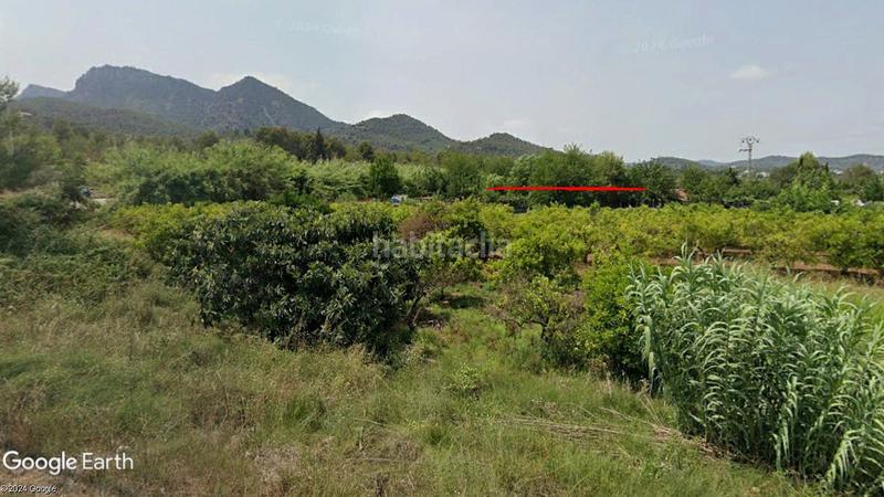 Foto 8d2bcba9-84cd-44aa-86f0-09a98215ea8f. Propriété dans Albalat dels Tarongers