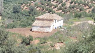Finca rústica a Villanueva del Arzobispo. Olivar con cortijo