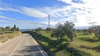 Finca rústica a Bailén. Lote de parcelas con 2.500 olivos a 116€ la mata