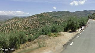 Propriété à Martos. Parcela de olivar