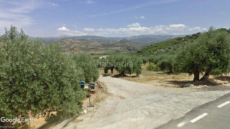 Foto c05ce1e3-e8d2-45e5-bc45-252667f19333. Finca rústica parcela de olivar en Martos