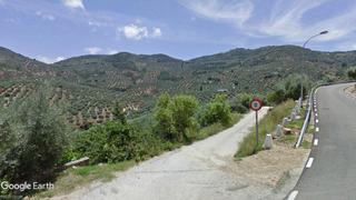Propriété à Martos. Parcela de olivar en producción