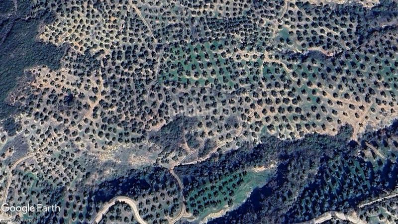 Foto f1bc94b2-b884-4691-86ae-f80a3d2da8f7. Finca rústica parcela de olivar en producción en Martos