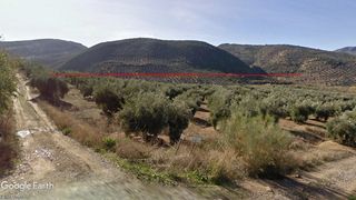 Finca rústica a Martos. Parcela de monte y olivar, opción instalaciones ganaderas