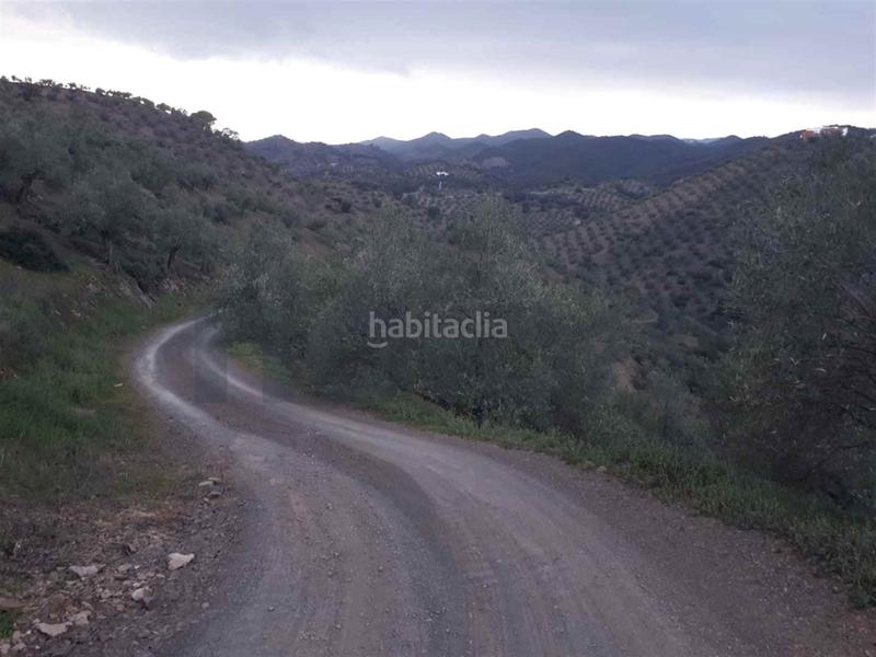 Foto c92d6505-2f4d-4c4a-b21c-003e8d1beeba. Finca rústica a Montoro