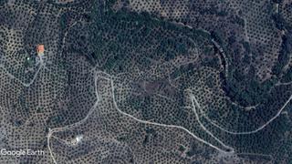 Finca rústica a Montoro. Extensa finca de olivar