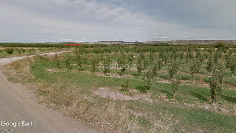 Foto 1092859d-efb1-4eb8-9198-99bb7959908b. Finca rústica a Calahorra