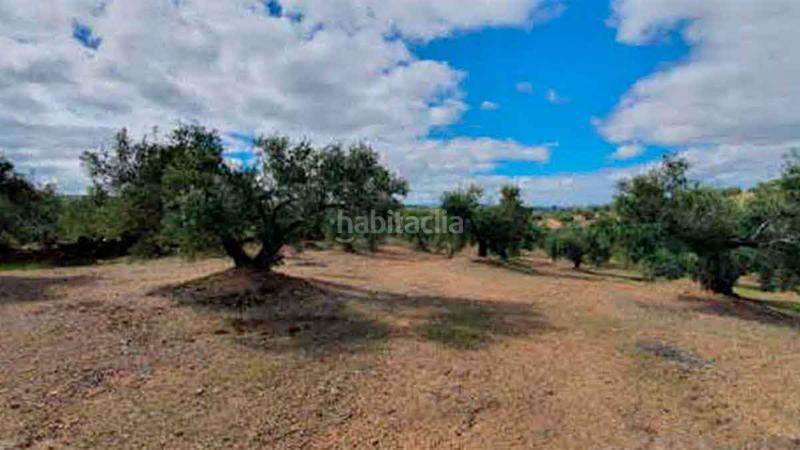 Foto 2a8e4d18-c155-4bae-bd5b-1b602141c8fe. Finca rústica olivar en producción en Torredonjimeno