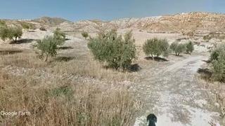 Finca rústica a Pedro Martínez. Tierra de secano para frutos secos