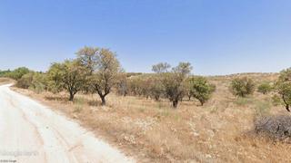 Finca rústica a Camino azucaica 7. Finca de almendros con potencial urbanistico