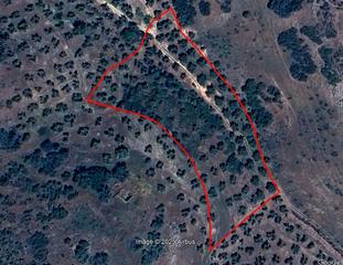 Finca rústica a Sabiote. Parcela de olivar con 55 olivos
