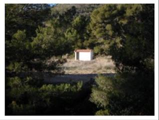 Finca rústica a Calle soledad 18. Finca de regadio con casetas de aperos