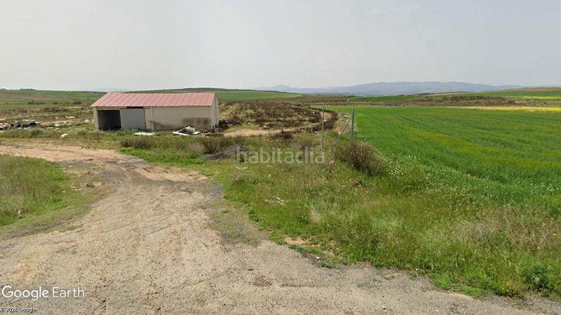 Foto 61aa6b28-fb52-4a70-bad3-9dd00729d8a9. Finca rústica a Lodosa