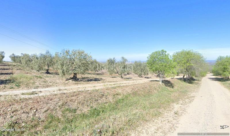 Foto 41345985-434b-4d5f-b467-1f416358c58d. Propriété dans Albaida del Aljarafe