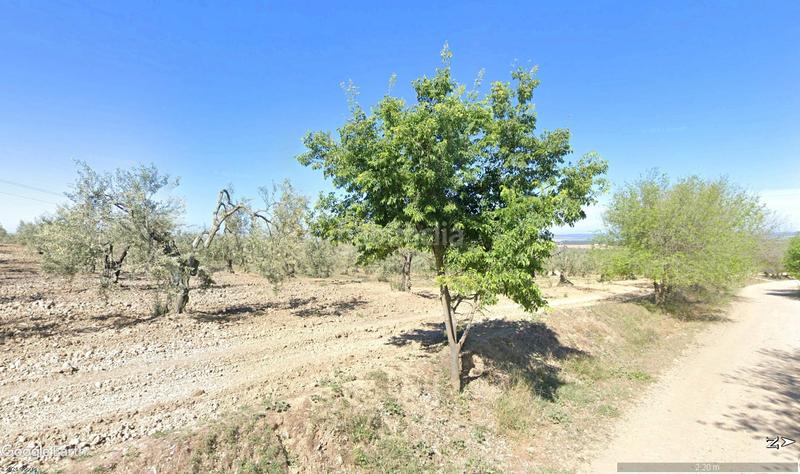 Foto d381f4ef-84e3-4126-a962-d05ccc113d4e. Propriété dans Albaida del Aljarafe