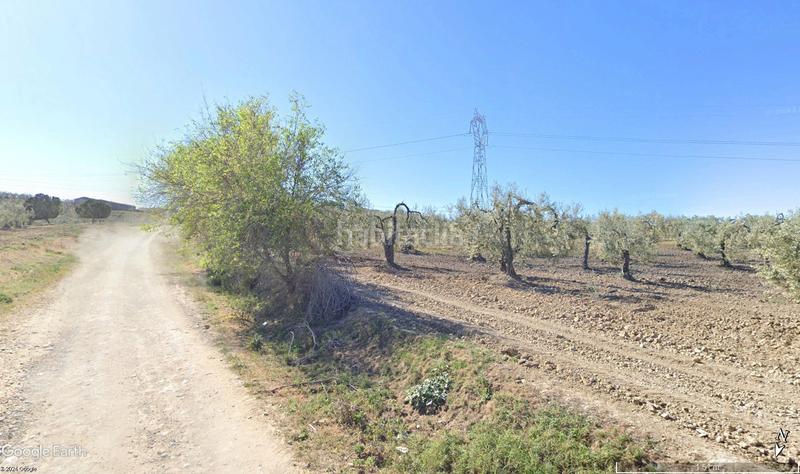 Foto dc2e89ec-ac32-4f50-b7e9-d8b0fe18893f. Propriété dans Albaida del Aljarafe