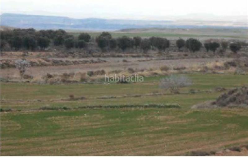 Foto 7d2fba3e-b450-4ceb-9f94-104ef48bc5ac. Finca rústica a Borja