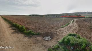 Finca rústica a Villacañas. Parcela dedicada a olivar para consumo propio