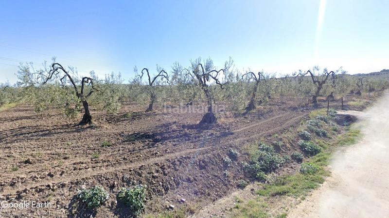 Foto 0801ef2e-aca9-4d5a-be0c-f08e4da8fc1b. Propriété dans Albaida del Aljarafe