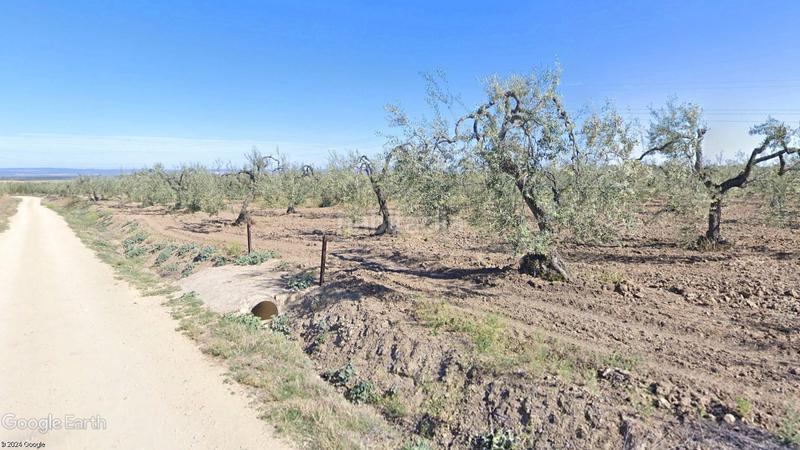 Foto d2c289b8-0a66-4290-8dfd-8afe789f5446. Propriété dans Albaida del Aljarafe