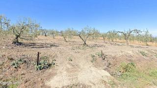 Propriété à N/a. Finca de olivar de secano cerca del pueblo