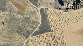 Finca rústica en Madrigueras. Buscas parcela para recreo a 10 minutos de la población? ésta te