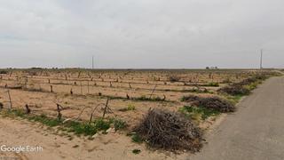 Finca rústica a Tomelloso. Viñedo de regadío con posibilidad de construir vivienda unifamil
