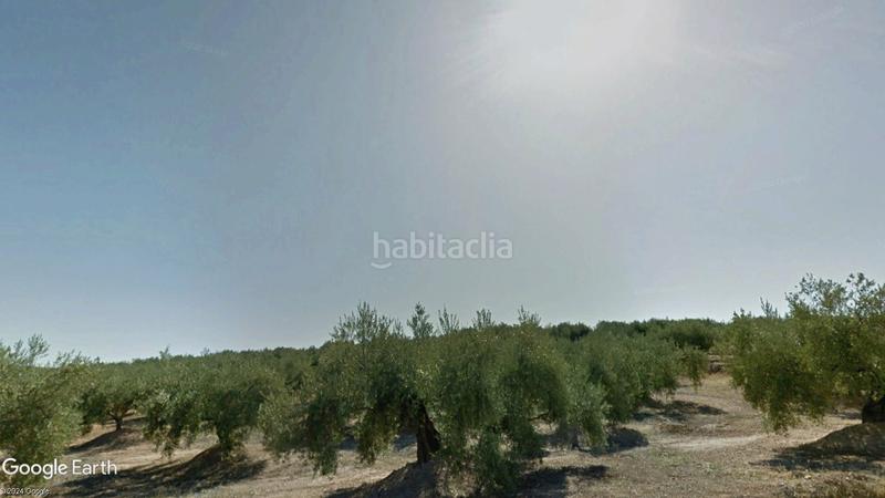 Foto 36a1d68c-9e97-4182-9d42-600d56b361fc. Finca rústica a Torredonjimeno