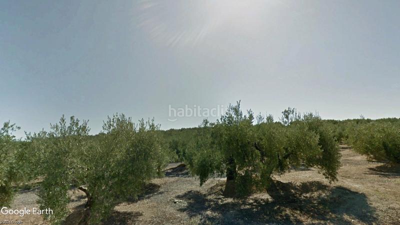 Foto 6075fd64-b7d8-4d46-8917-9e69d962fb26. Finca rústica a Torredonjimeno