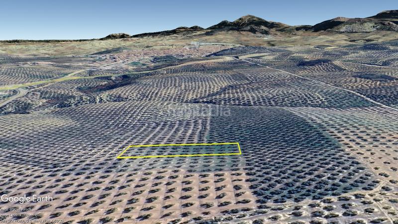 Foto bb0e91f5-376b-406b-9fce-0bbf6ee32eb1. Finca rústica a Torredonjimeno