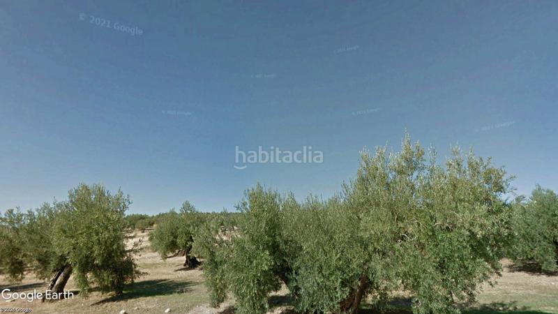 Foto e7f084cc-b888-44e2-a039-94ee292c2ac2. Finca rústica a Torredonjimeno