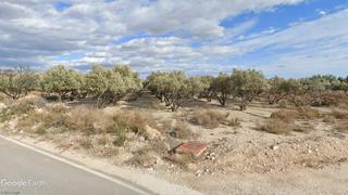 Propriété à Partida sol del camp 150. Olivos regadío, opción vivienda de campo, piscina
