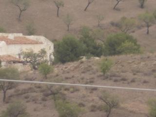 Finca rústica a Vélez - Rubio. Parcela de amendros con casa cortijo para uso residencia recreat