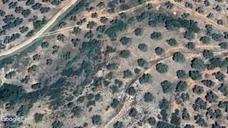 Finca rústica a Beas de Segura. Parcela de olivar tradicional