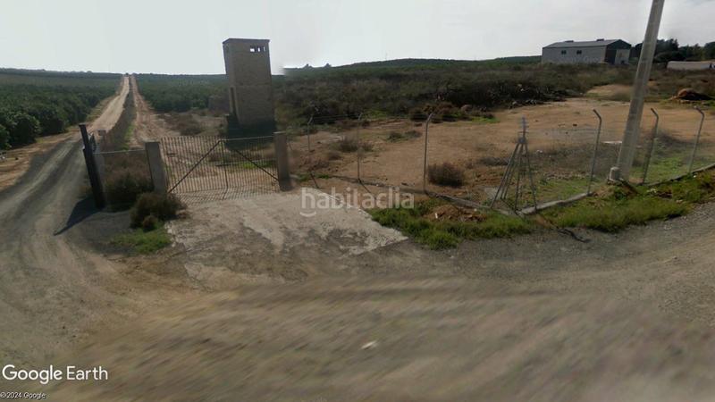 Foto 5c7d8b16-ed1f-4dff-9856-014eabc4ead6. Finca rústica magnifica finca de naranjos y labor en Alcalá de Guadaira