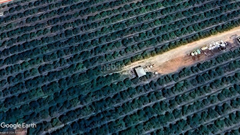 Foto 81e0830b-81b4-4a55-85f9-bb40c025deca. Finca rústica magnifica finca de naranjos y labor en Alcalá de Guadaira