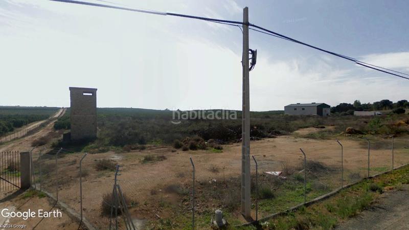 Foto e675f08e-f2ee-4032-8648-fae1e92d3cc8. Finca rústica magnifica finca de naranjos y labor en Alcalá de Guadaira